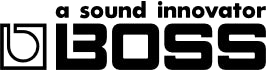 Boss---Muso's Stuff