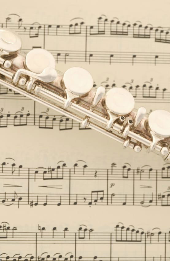 Orchestral - Woodwind Instruments---Muso's Stuff