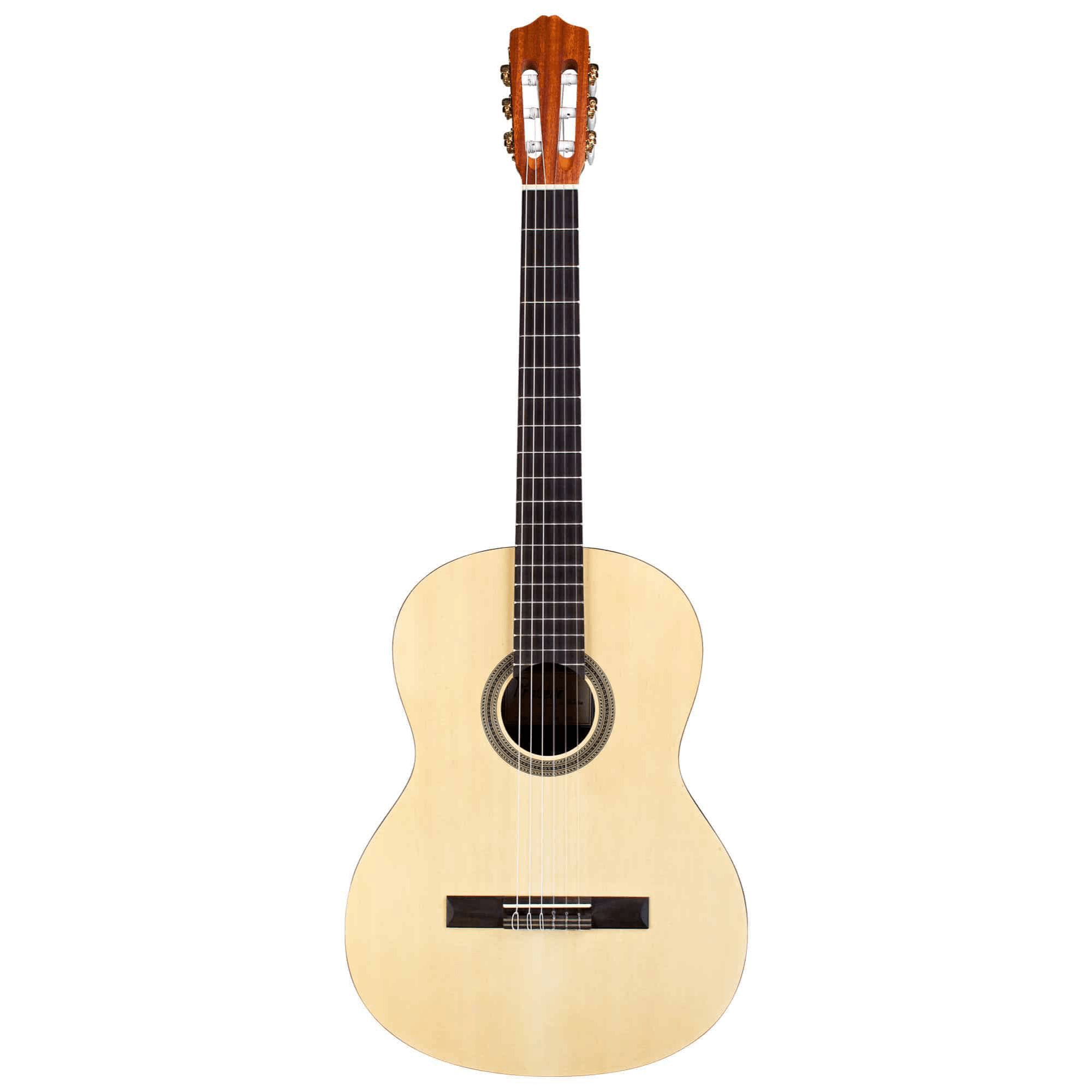 Cordoba - Protege C1M Full Size Classical Spruce Top - Guitars - Classical by Cordoba at Muso's Stuff