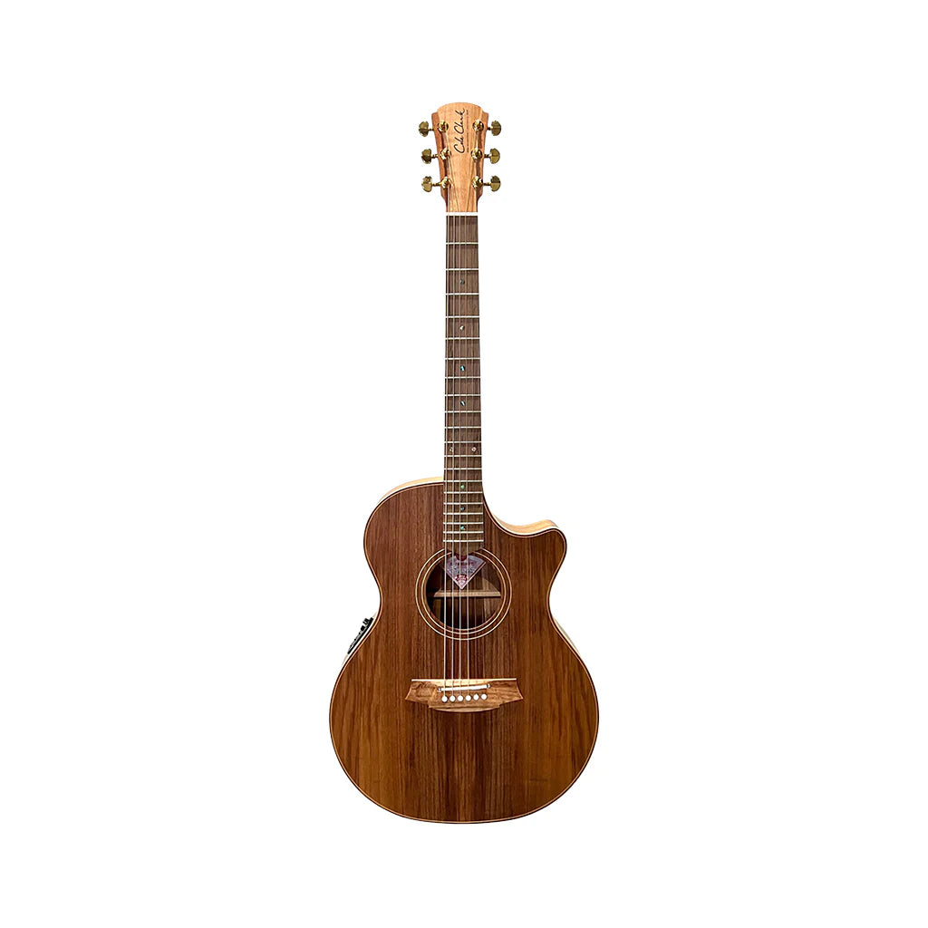 Cole Clark Thinline Grand Auditorium Acoustic/Electric - All Blackwood