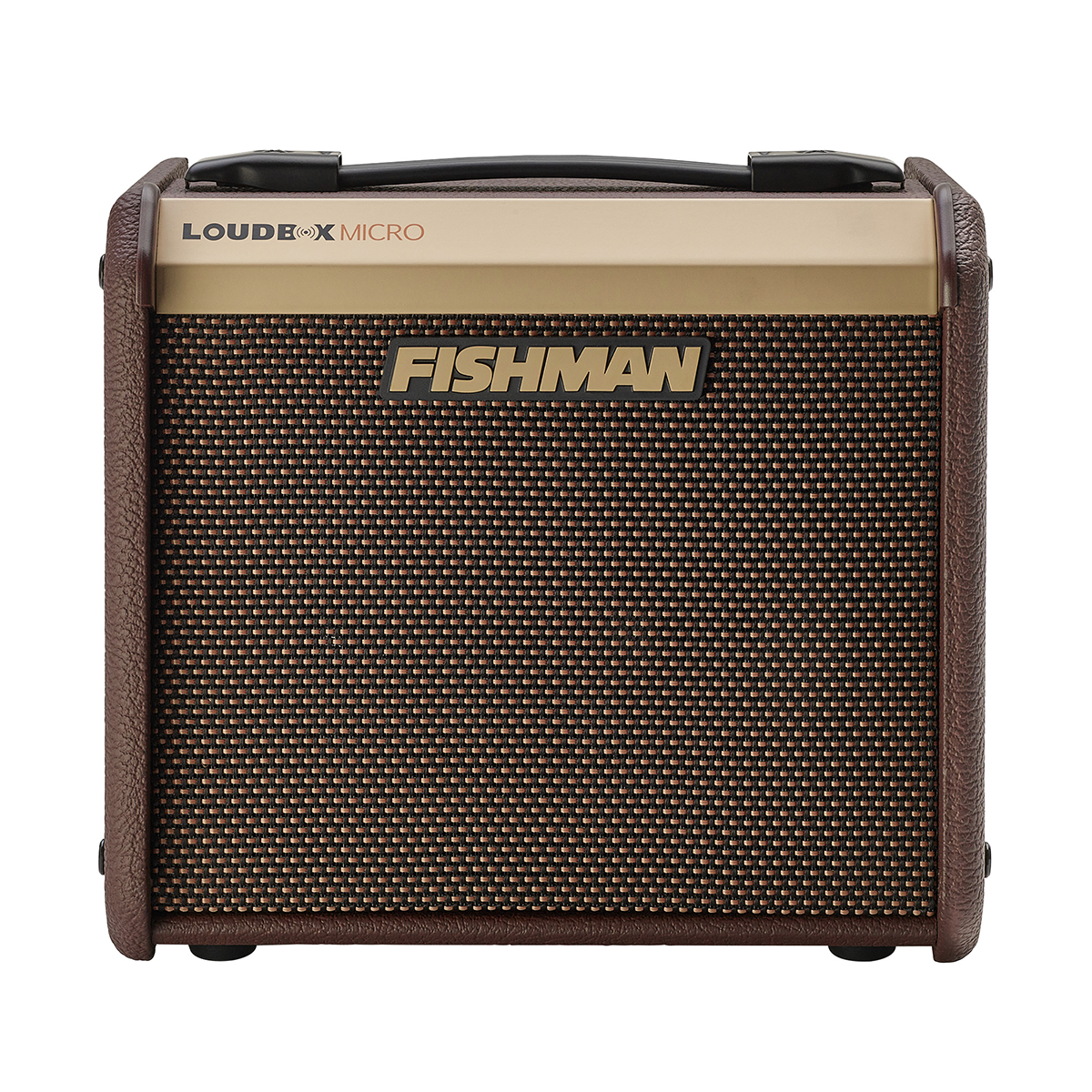 Fishman Loudbox Micro 40W acoustic guitar amplifier, front view