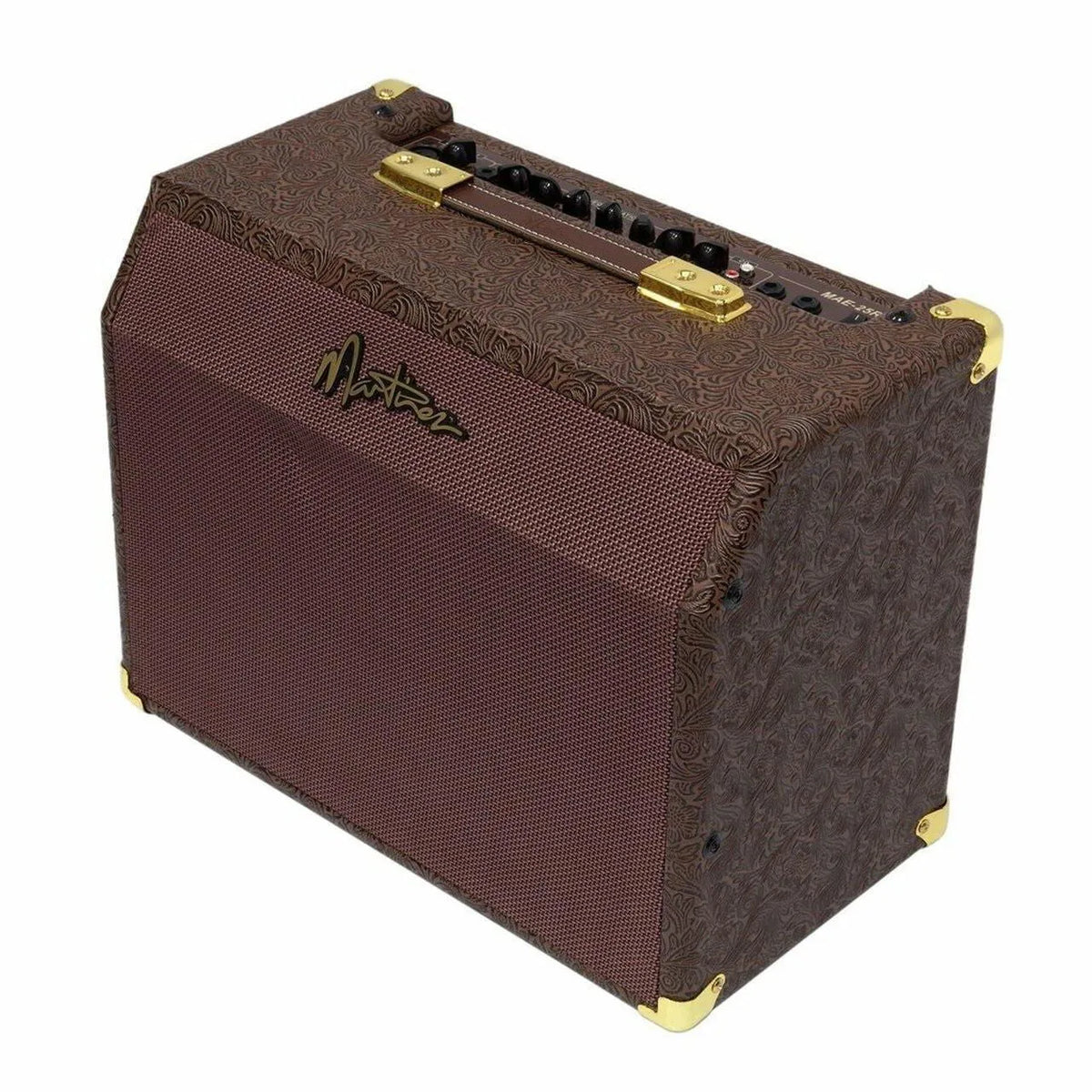 Martinez 25W Acoustic Guitar Amp with Reverb