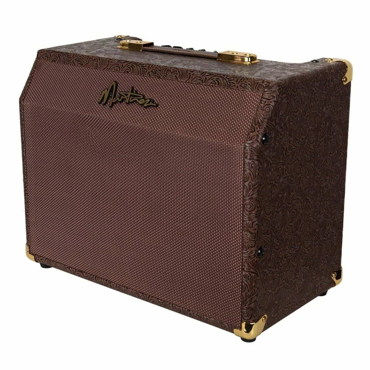 Martinez 25W Acoustic Guitar Amp with Reverb