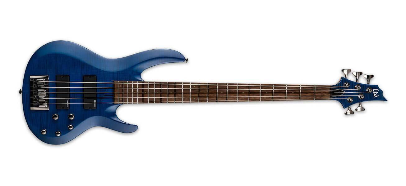 Bass - 5 String---Muso's Stuff 