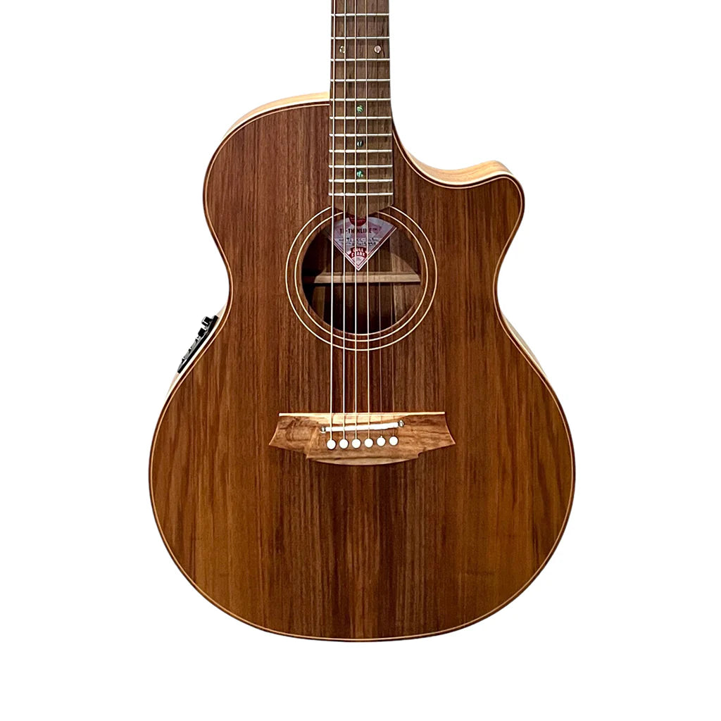 Cole Clark Thinline Grand Auditorium Acoustic/Electric - All Blackwood