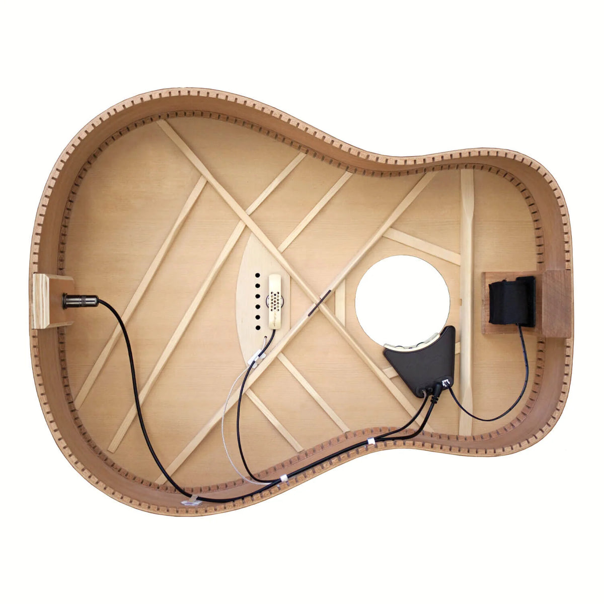 LR Baggs Anthem microphone and pickup for acoustic guitar