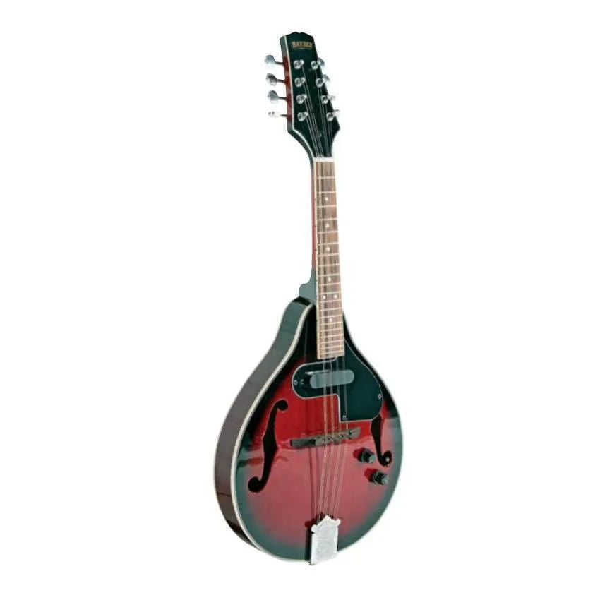 Teardrop St. Arch Top E/A MandolinWR-Mandolins-Bryden-Muso's Stuff 