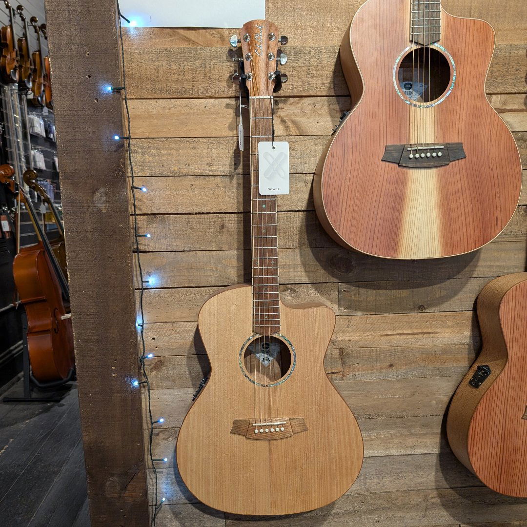Cole Clark Studio AN1EC Bunya Silky Oak--Muso's Stuff 