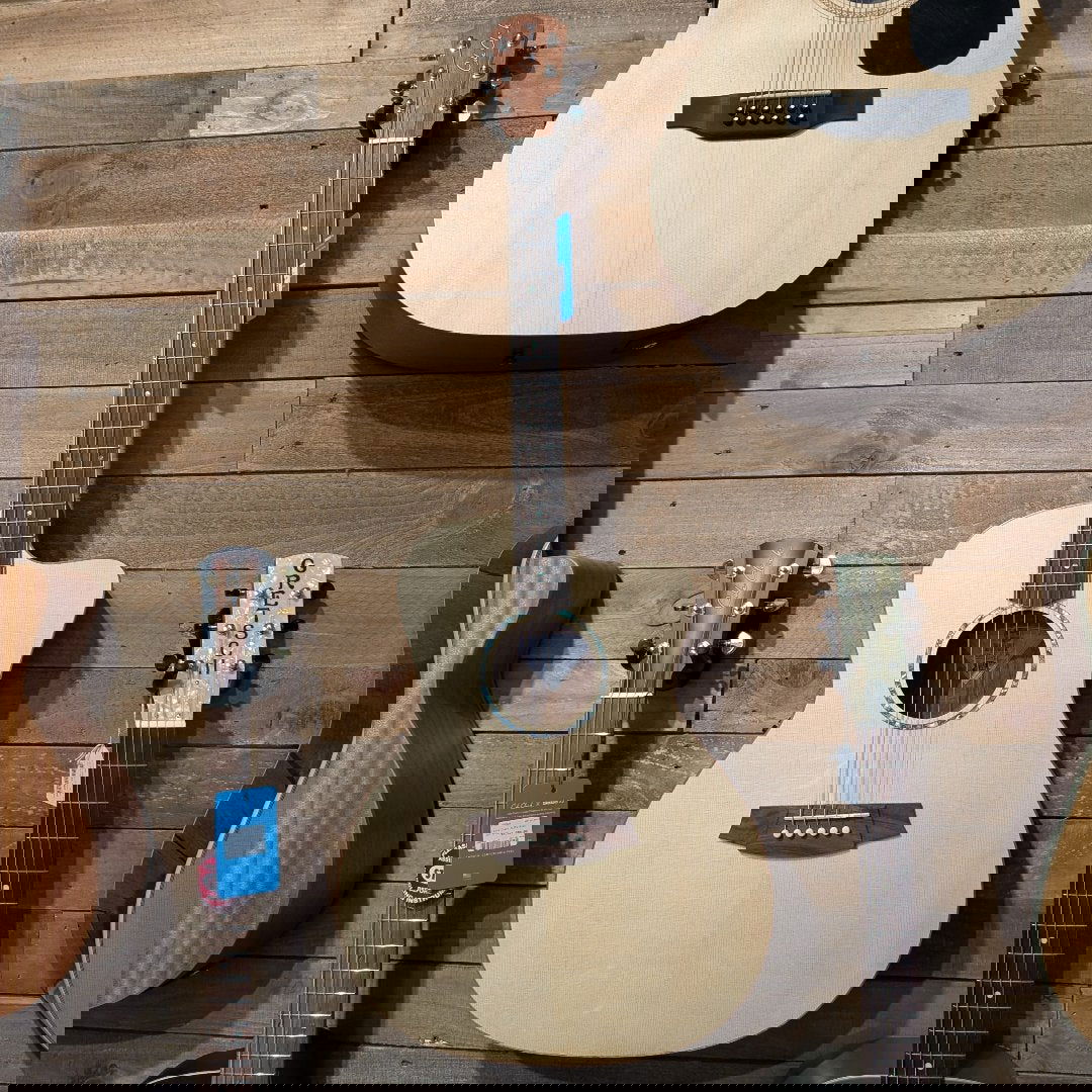 Cole Clark Studio AN1EC Spruce Mahogany--Muso's Stuff 