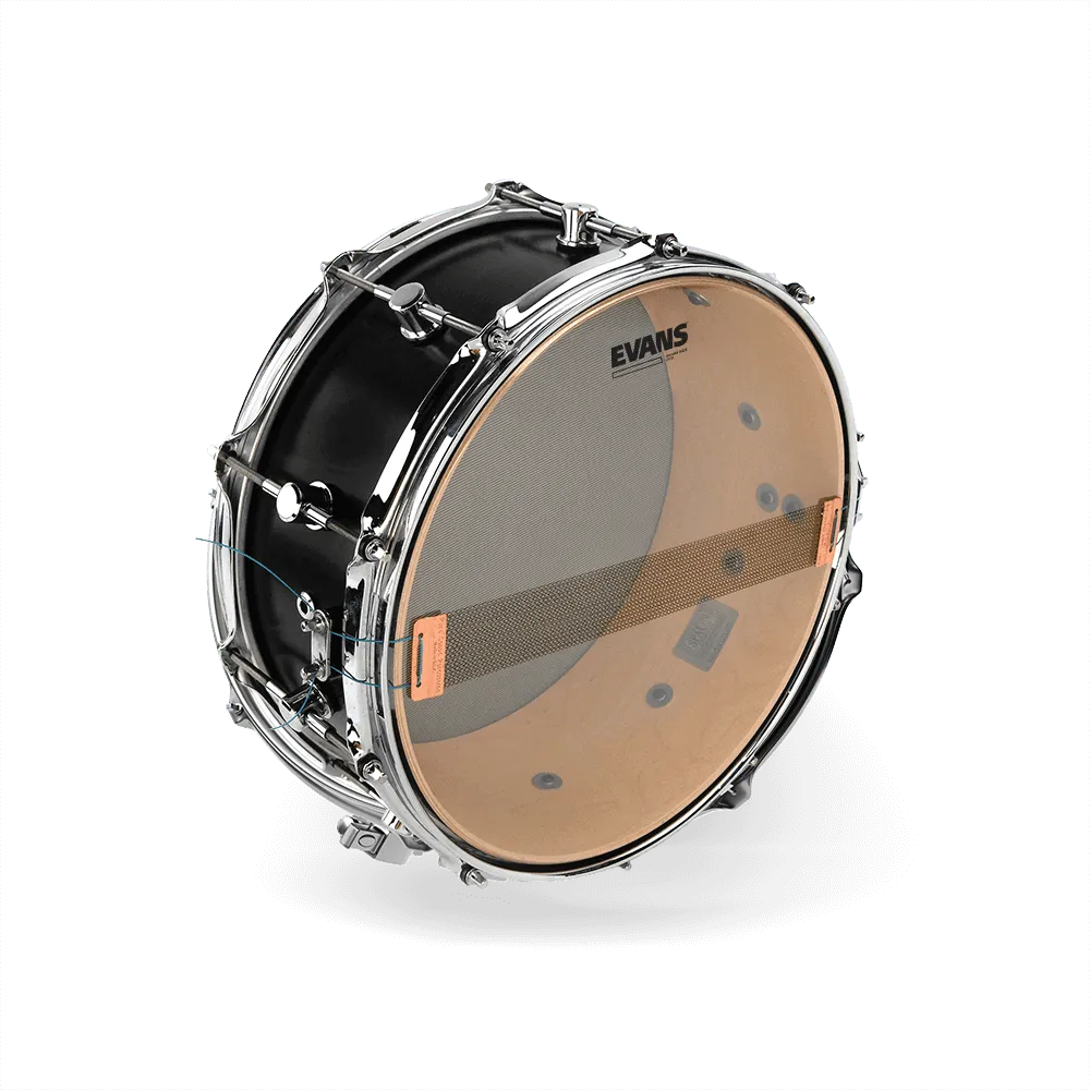 Evans Clear 200 Snare Side Drum Head 13 Inch--Muso's Stuff 