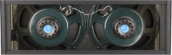 Tonemaster Twin Reverb---Muso's Stuff 