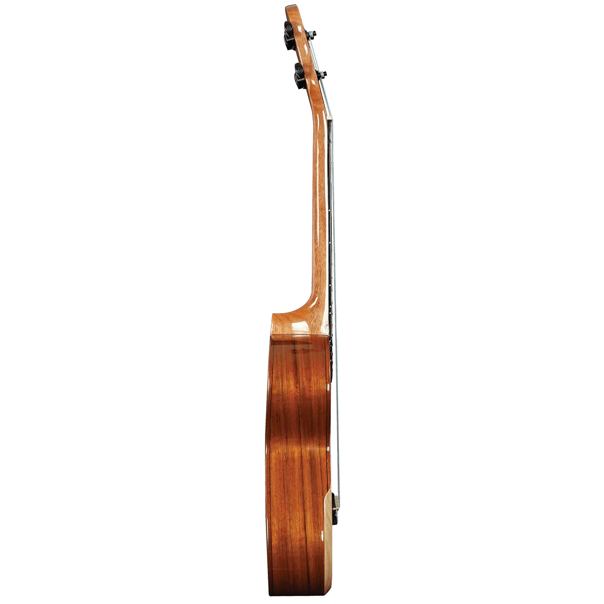 Walnut Concert Uke---Muso's Stuff 