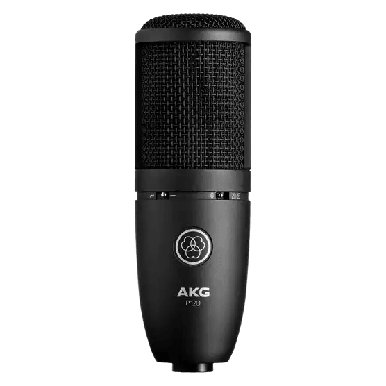 AKG - P-120 General Purpose Recording Mic - Live & Recording - Microphones by AKG at Muso's Stuff