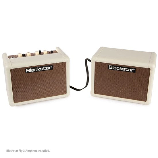 Blackstar FLY 103 extension cabinet for Acoustic FLY amplifier