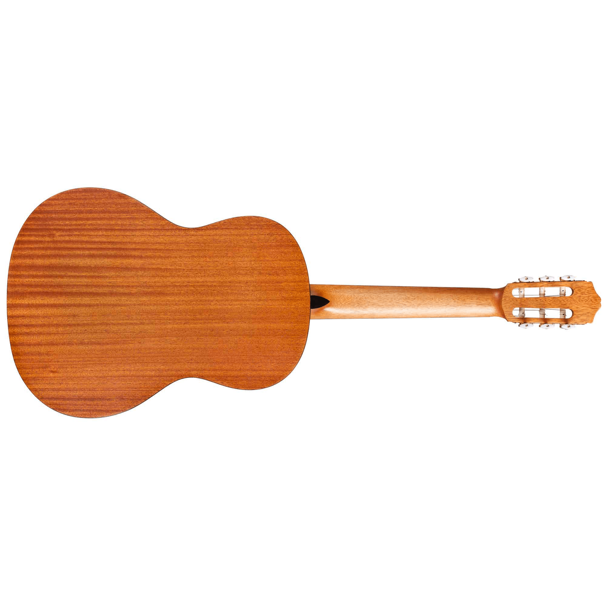 Cordoba - Protege C1M Full Size Classical Spruce Top - Guitars - Classical by Cordoba at Muso's Stuff