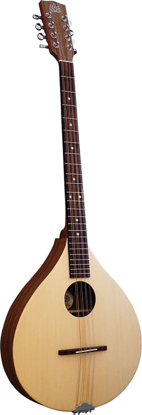 Ashbury Irish Bouzouki Rathlin w/Bag