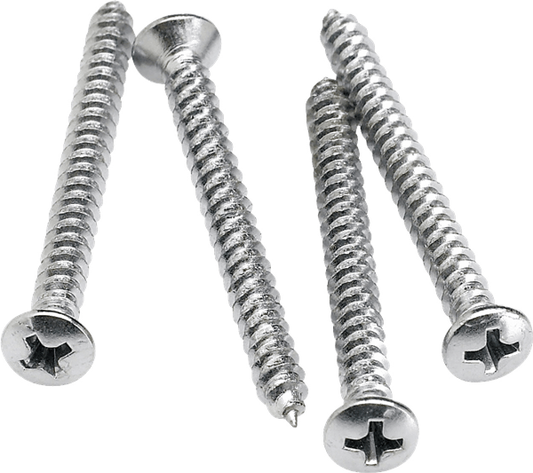 Neck Mounting Screws 4 Chrome - Guitars - Parts and Accessories by Fender at Muso's Stuff