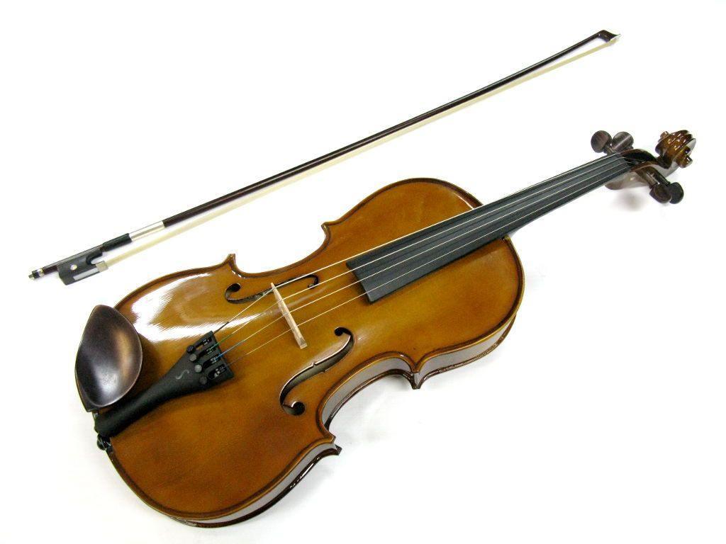 Stentor 14 Inch Viola Student 1 - Orchestral - Strings Section by Stentor at Muso's Stuff