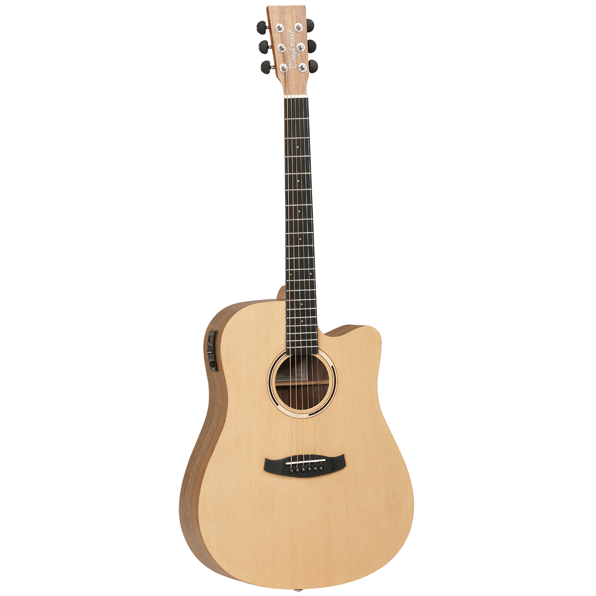 Tanglewood - Dreadnought Discovery Exotic C/E Hawaii Rainwood - Guitars - Acoustic by Tanglewood at Muso's Stuff