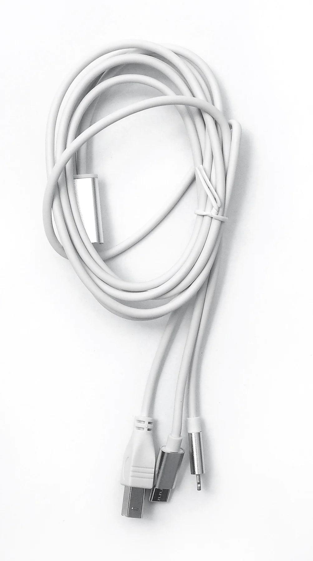 USB-B/Lightning to C Cable for Casio - Live & Recording by Casio at Muso's Stuff